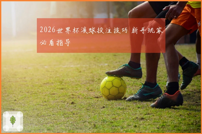 2026世界杯滚球投注技巧 新手玩家必看指导