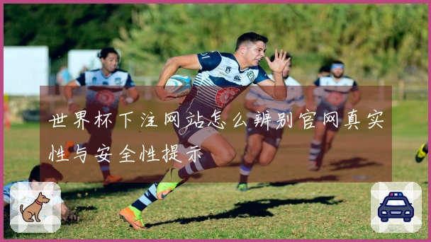 世界杯下注网站怎么辨别官网真实性与安全性提示