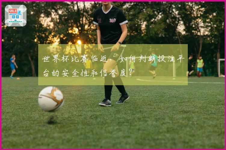 世界杯比赛临近，如何判断投注平台的安全性和信誉度？