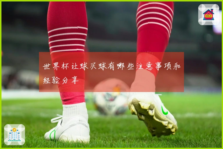 世界杯让球买球有哪些注意事项和经验分享