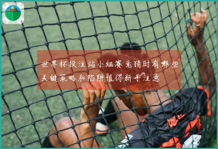 世界杯投注站小组赛竞猜时有哪些关键策略和陷阱值得新手注意