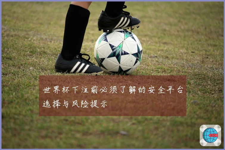 世界杯下注前必须了解的安全平台选择与风险提示