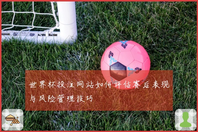 世界杯投注网站如何评估赛后表现与风险管理技巧