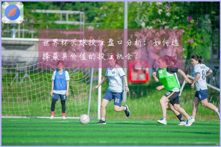 世界杯买球投注盘口分析：如何选择最具价值的投注机会？