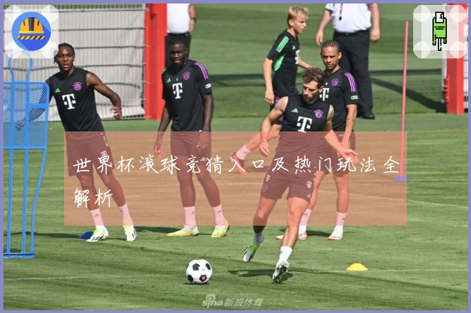 世界杯滚球竞猜入口及热门玩法全解析