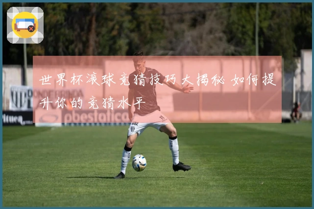 世界杯滚球竞猜技巧大揭秘 如何提升你的竞猜水平