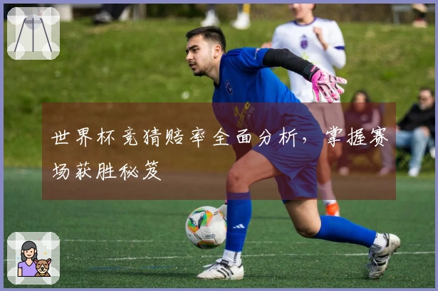 世界杯竞猜赔率全面分析，掌握赛场获胜秘笈