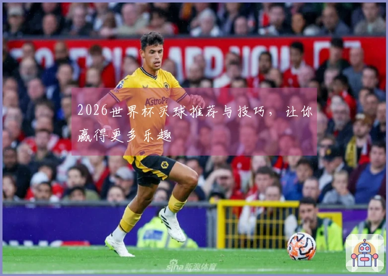 2026世界杯买球推荐与技巧，让你赢得更多乐趣
