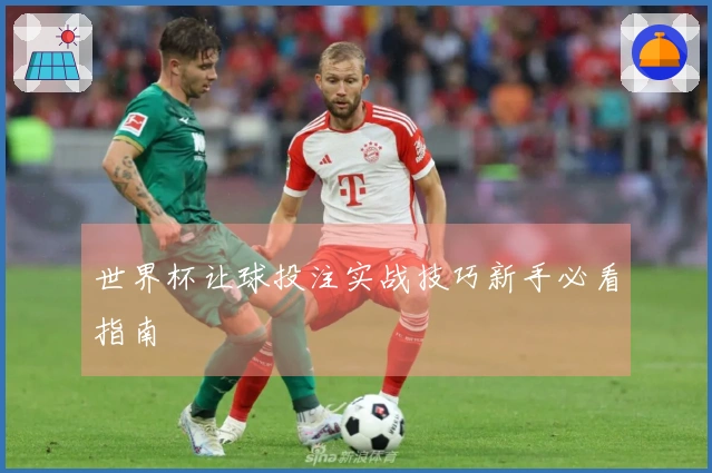 世界杯让球投注实战技巧新手必看指南