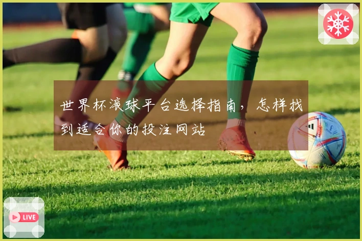 世界杯滚球平台选择指南，怎样找到适合你的投注网站