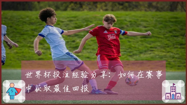 世界杯投注经验分享：如何在赛事中获取最佳回报