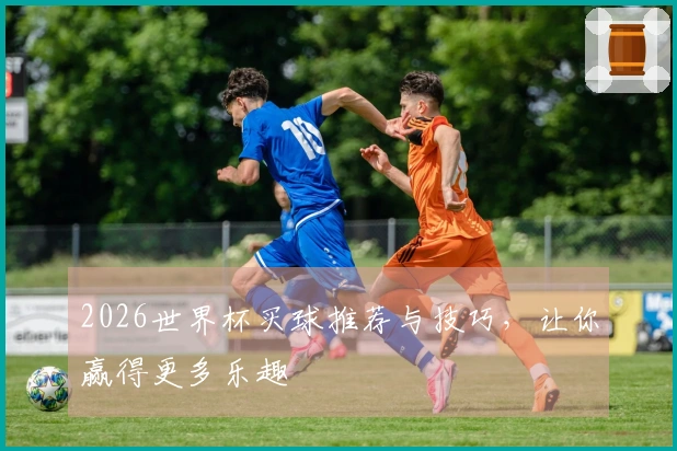 2026世界杯买球推荐与技巧,让你赢得更多乐趣