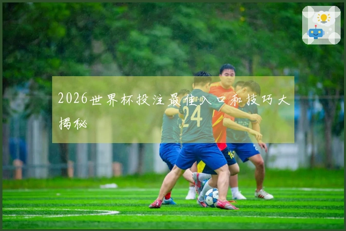 2026世界杯投注最佳入口和技巧大揭秘