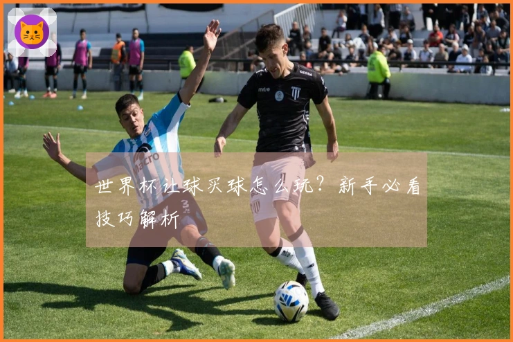 世界杯让球买球怎么玩？新手必看技巧解析