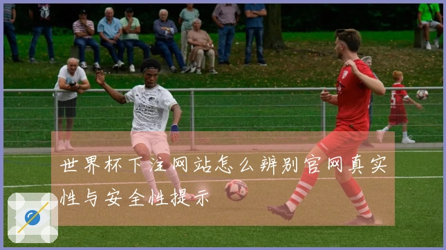 世界杯下注网站怎么辨别官网真实性与安全性提示