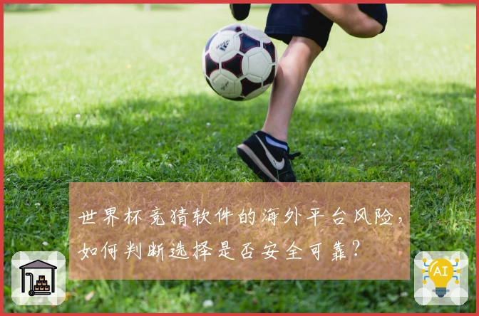 世界杯竞猜软件的海外平台风险，如何判断选择是否安全可靠？