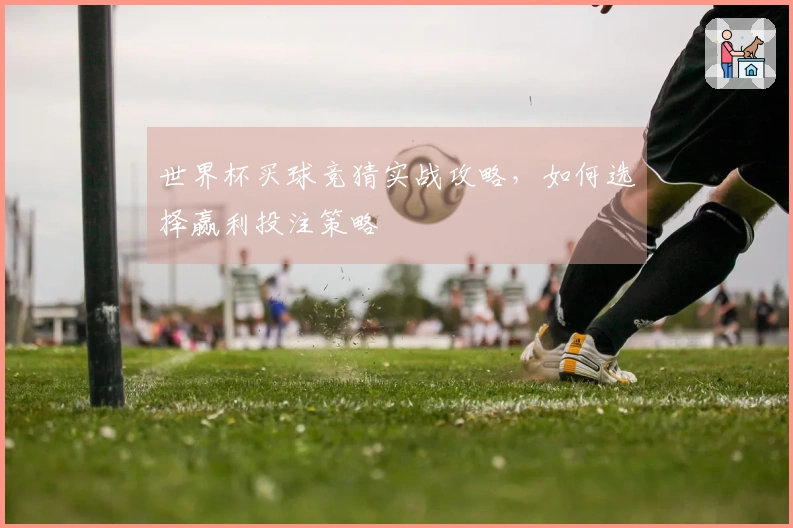 世界杯买球竞猜实战攻略，如何选择赢利投注策略