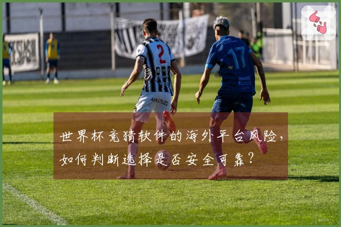 世界杯竞猜软件的海外平台风险，如何判断选择是否安全可靠？