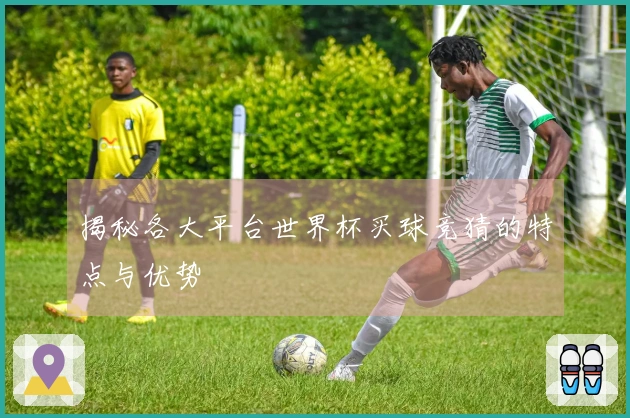 揭秘各大平台世界杯买球竞猜的特点与优势