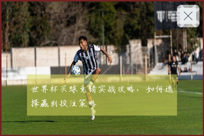 世界杯买球竞猜实战攻略，如何选择赢利投注策略