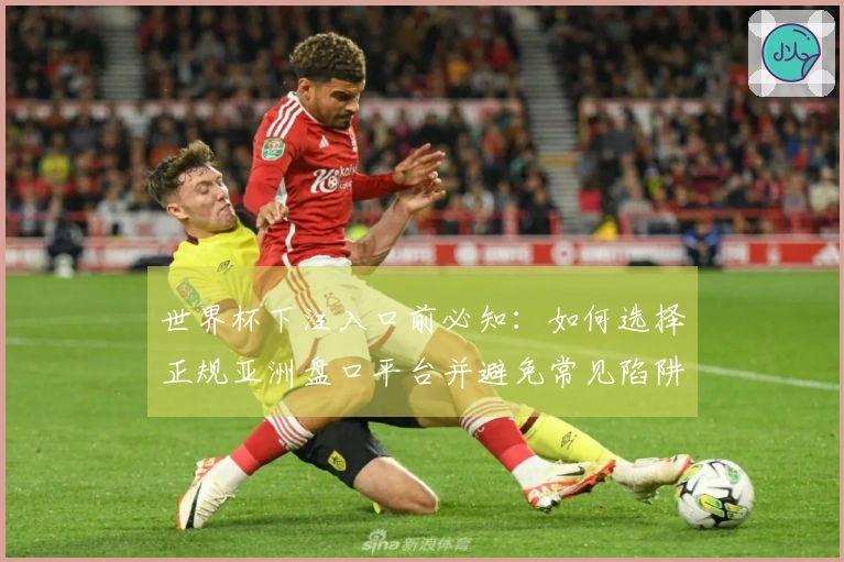 世界杯下注入口前必知:如何选择正规亚洲盘口平台并避免常见陷阱