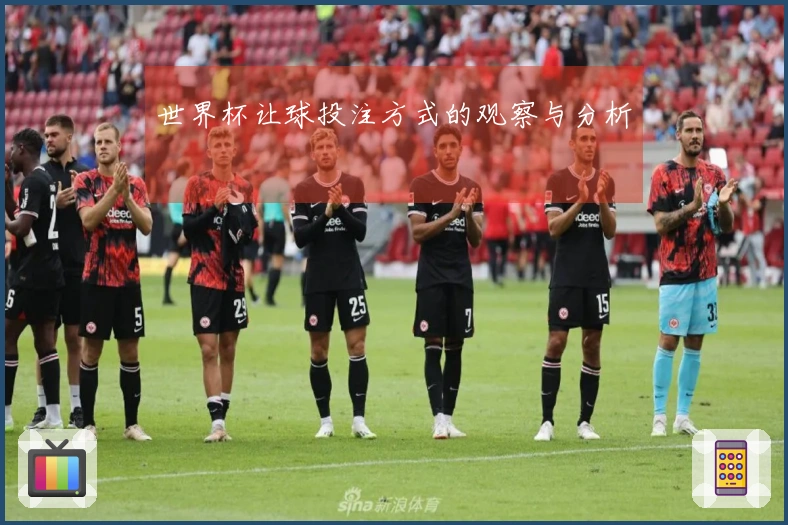 世界杯让球投注方式的观察与分析