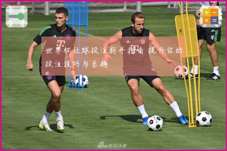 世界杯让球投注新手指南 提升你的投注技巧与乐趣
