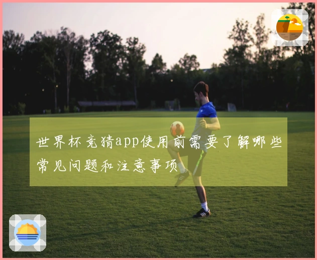 世界杯竞猜app使用前需要了解哪些常见问题和注意事项