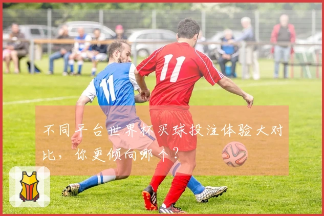 不同平台世界杯买球投注体验大对比，你更倾向哪个？